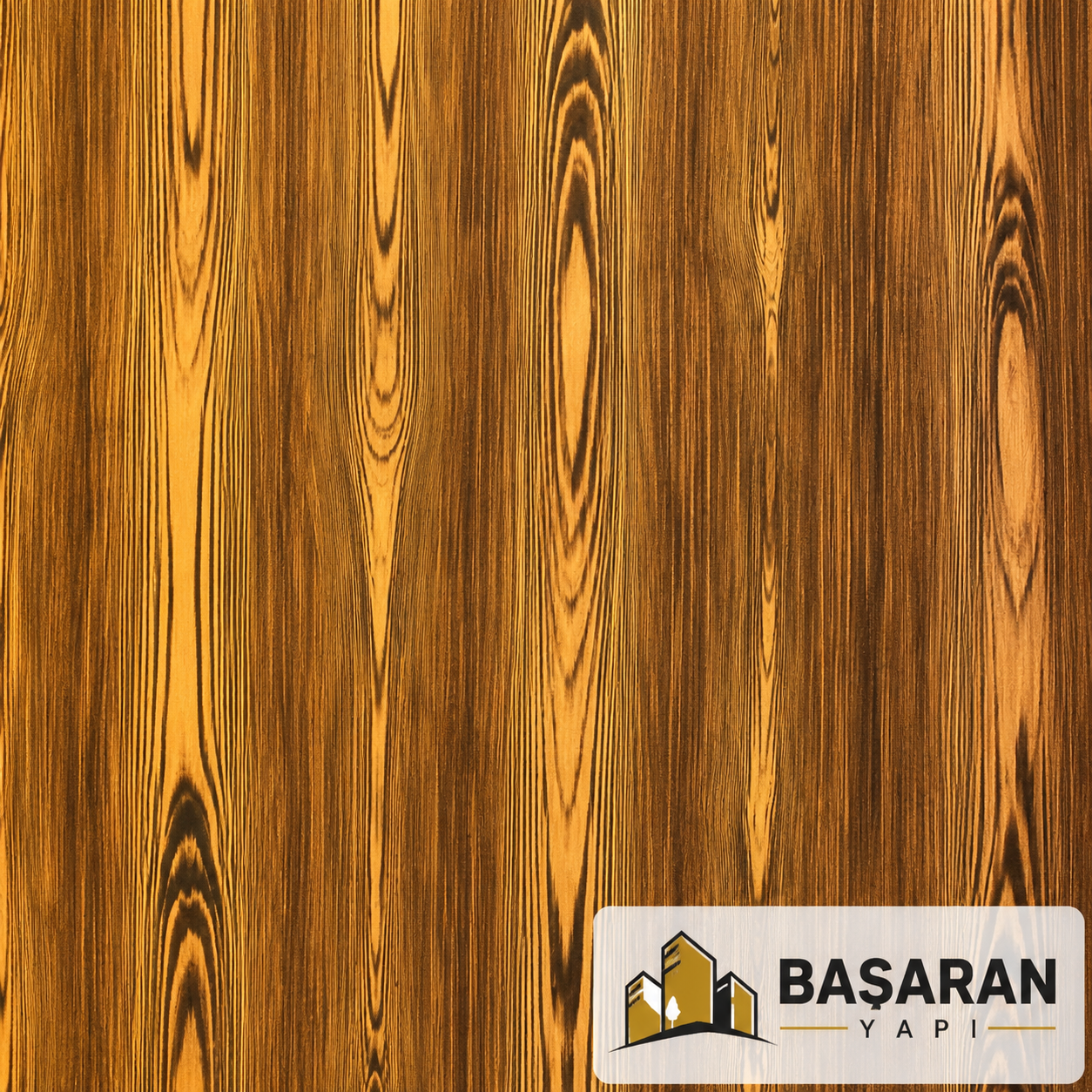 Başaran Yapı Proje 9